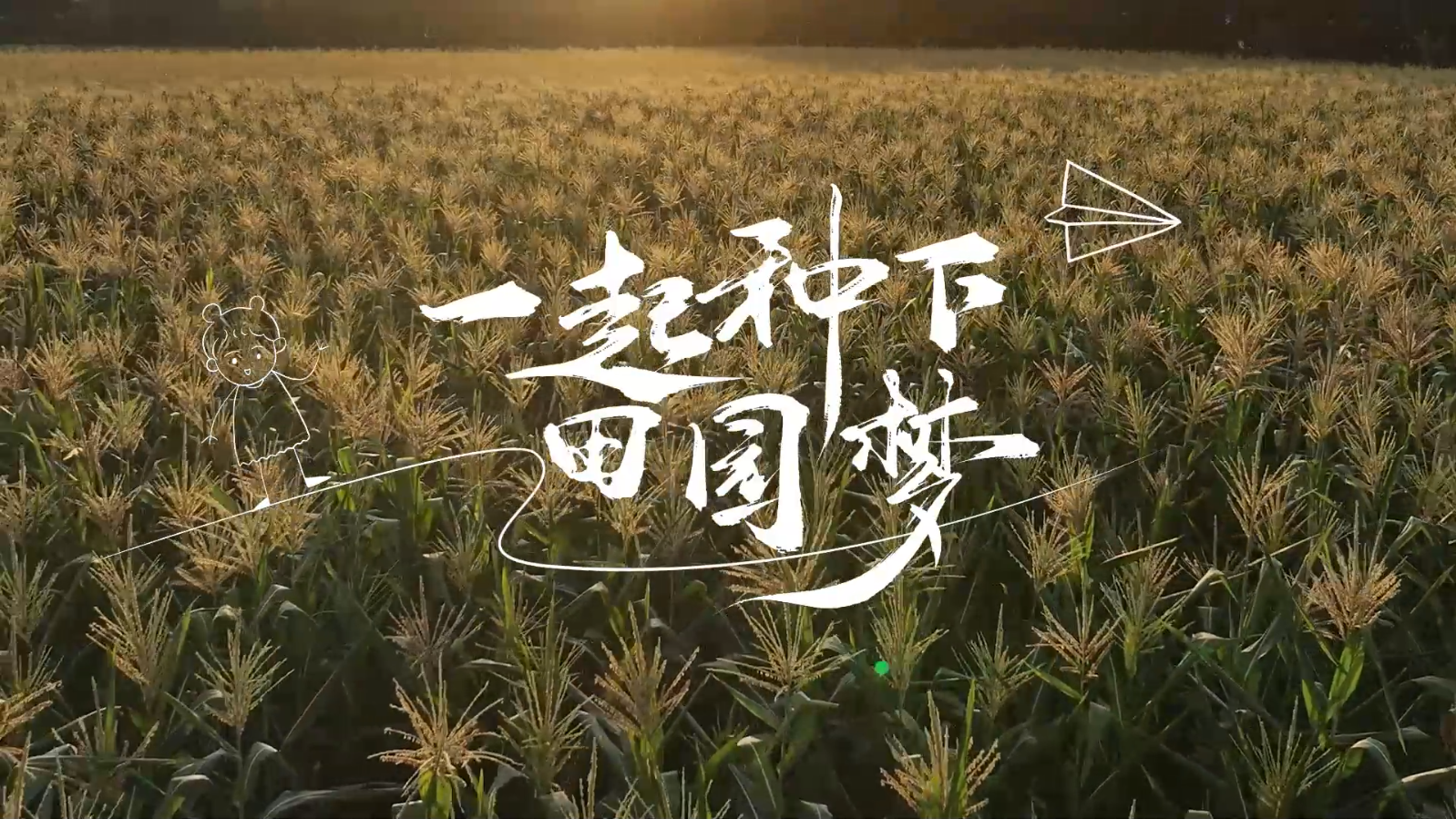 一起种下田园梦