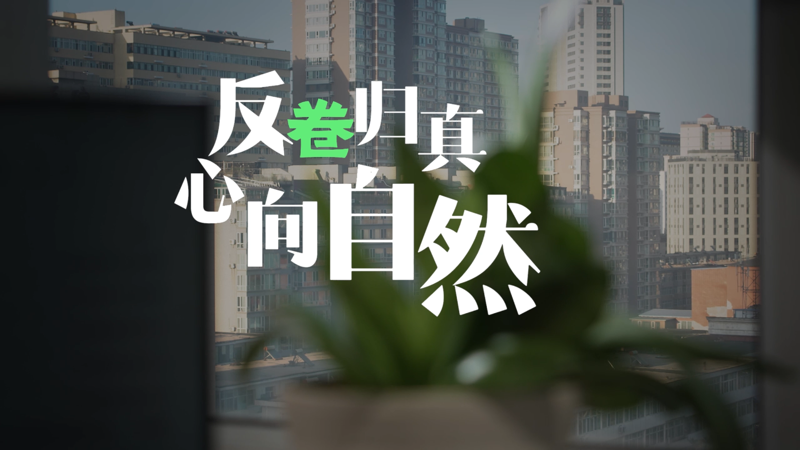 一起种下田园梦